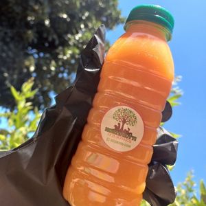 imagem do produto Detox Laranja 