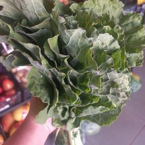 imagem do produto Couve