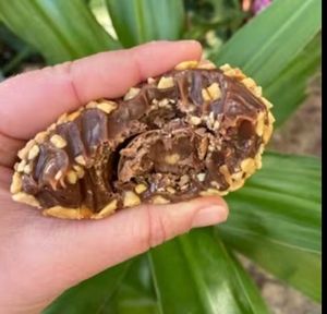 imagem do produto Brigadeirão - ferrero rocher