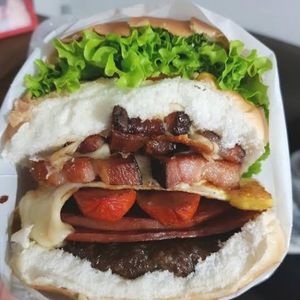 imagem do produto X-Tudo