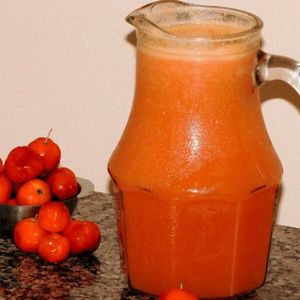 imagem do produto Jarra de suco de acerola 