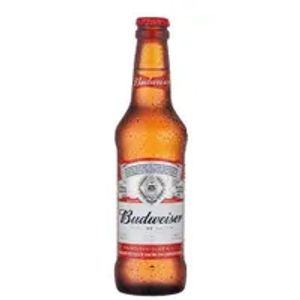 imagem do produto Cerveja Budweiser 330ML