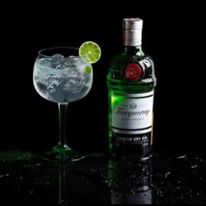 imagem do produto Gin tanqueray