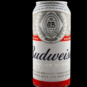 imagem do produto Budweiser 