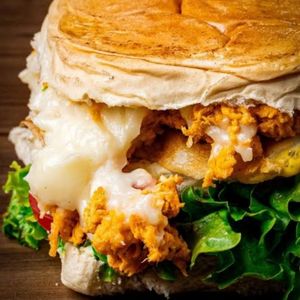 imagem do produto x frango catupry