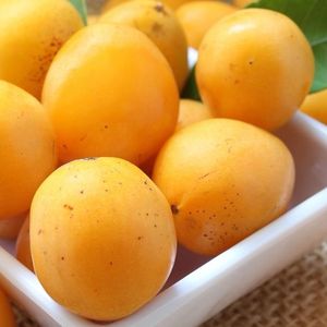 imagem do produto Cajá