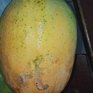 imagem do produto Mamão 