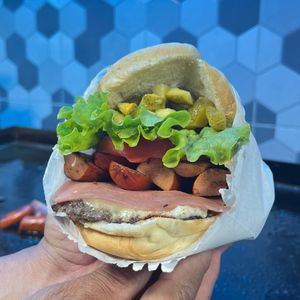 imagem do produto X dog