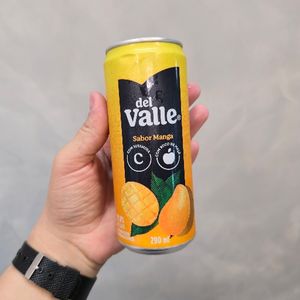imagem do produto Suco Del Valle - Manga -  290 ml