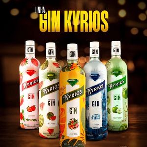 imagem do produto Gin Invictos 