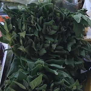 imagem do produto Espinafre