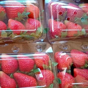 imagem do produto Morango