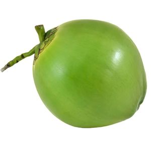 imagem do produto ÁGUA DE COCO