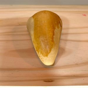 imagem do produto Esfirra de Carne moída