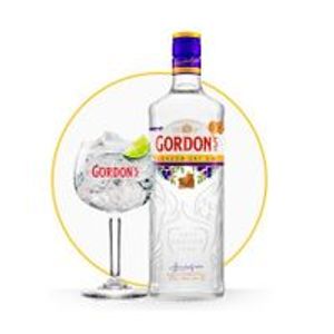 imagem do produto GORDON´S GIN