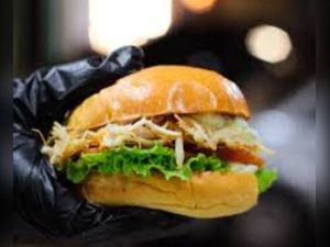 imagem do produto Panic Frango Fit