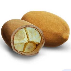 imagem do produto •CUPUAÇU