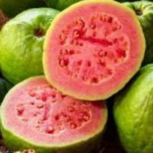 imagem do produto Suco Goiaba 