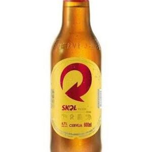 imagem do produto SKOL