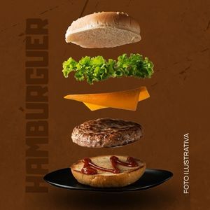 imagem do produto Barões Burger Simples