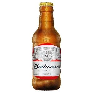 imagem do produto Budweiser 300ml retornável 