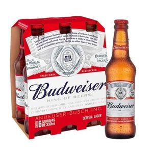 imagem do produto Cerveja Budweiser 330ml6un