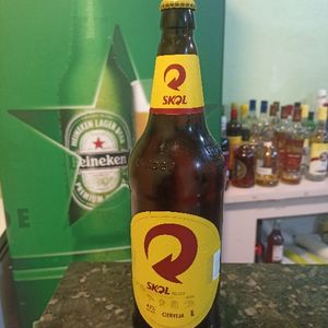 imagem do produto Skol litrão com 12 unidades quente