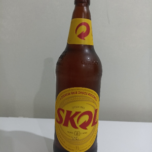 imagem do produto Skol Litrão unidade