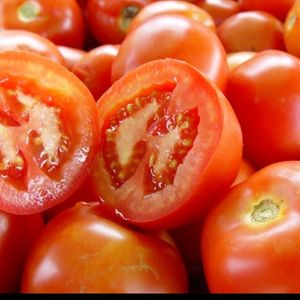 imagem do produto Tomate