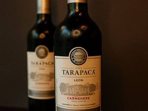 imagem do produto Tarapacá León Carmenère