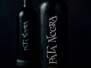 imagem do produto Pata Negra(Tempranillo & Cabernet Sauvignon)