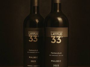 imagem do produto Latitud 33 Malbec