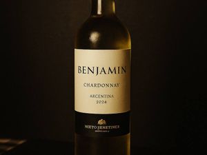 imagem do produto Benjamin Chardonnay
