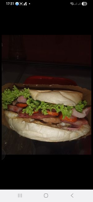 imagem do produto X-Tudo