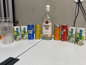 imagem do produto Combo gin seagers