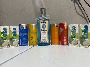 imagem do produto Combo gin Bombay