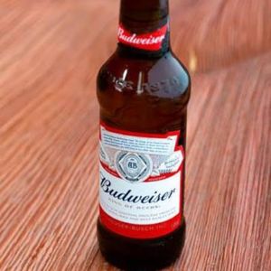 imagem do produto Budweiser 