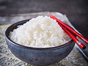 imagem do produto Gohan 300 gramas