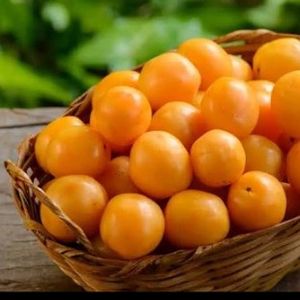 imagem do produto Suco de Caja