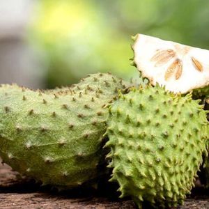 imagem do produto GRAVIOLA