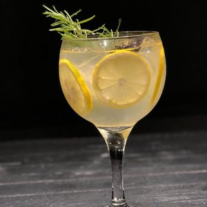 imagem do produto Gin Tônica