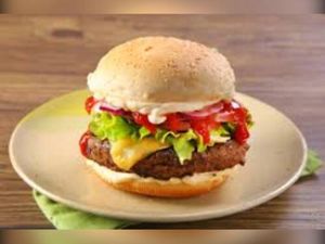 imagem do produto X-Salada