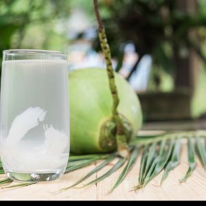 imagem do produto COPO DE AGUA DE COCO