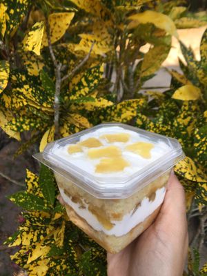 imagem do produto Bolo de pote delícia de abacaxi 