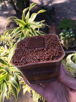 imagem do produto Bolos de pote Alpino