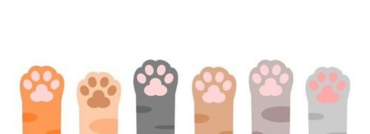 Miumiu Lanchonete logo