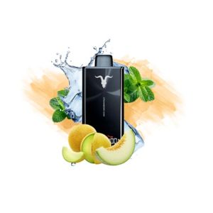 imagem do produto Ignite V300 Menta com Melão