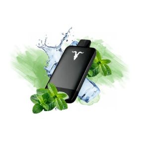 imagem do produto Ignite V155 Sabor Menta Ice