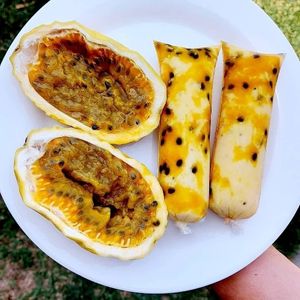 imagem do produto Geladinho gourmet de maracujá 