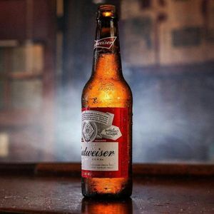 imagem do produto Long Neck Budweiser 